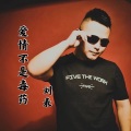 刘表 - 爱情不是毒药