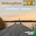 WalkingBible、Will Weeks - 1 Corinthians 13:4-7,13