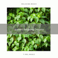 Nature Sound Collection - 