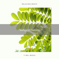 Nature Sound Series - 