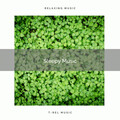 2021 Sleepy Music