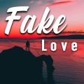 Fake Love