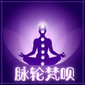 脉轮觉醒 - 正念