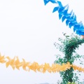 夏小桃 - 大学自习室