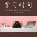 学习音乐 - 集中学习