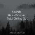 Sounds | Relaxation and Total Chilling Out