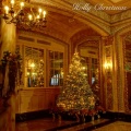 Holly Christmas