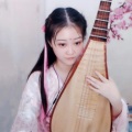琵琶朱清浣 - 葬花吟(琵琶)