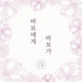 바보에게 바보가 (Dear. My Fool)