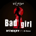 미친연애(BAD GIRL)(FEAT.E-SENS OF 슈프림팀) (疯狂恋爱)