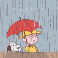 F*yy - 不喜欢下雨天