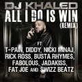 All I Do Is Win (remix)