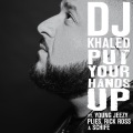 Put Your Hands Up (feat. Young Jeezy Rick Ross Plies & Schife)