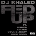 Fed Up (feat. Lil Wayne Usher Drake Young Jeezy Rick Ross)(Explicit)