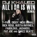 All I Do Is Win (Remix|Explicit)