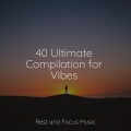 Meditation Music Experience、Deep Sleep Meditation、Chillout Lounge - Pilates Moments