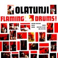 babatunde olatunji - Hail the King