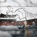 大姨妈Una、此闲、胡夏不安排逃禅live十二就不改名、肆六、顾不得、鹤川、芒果爱吃霜降、王鸩、山崎子 - 宫墙柳