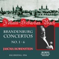 Walter Schneiderhan、Nikolaus Harnoncourt、Jascha Horenstein - Brandenburg Concerto No. 2 in F Major, BWV 1047: III. Allegro assai