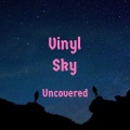 Vinyl Sky - Have I told you lately
