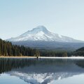 40 Pure Nature Sounds