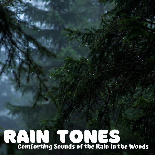 Ambient Rain、Rain Wonder、Rain Sounds Sleep - Sedating Splatter