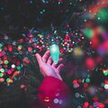 Lazy Tree Records - Jingle Bells