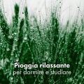 Pioggia rilassante、Relax Ambientale Musica Zen Club、Club di relax mentale - Prossima prospettiva, fuoco
