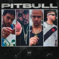 Pitbull (Explicit)