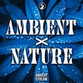 Ambient Stream - Rain and Healing Frequency