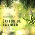 Irish Christmas Folk Music - Greensleeves