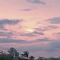 陈茗 - 双枪会给出答案 (DJ版)