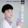 刘洋 - 雪落下的声音