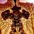 (DRS)/ CROSSARMS、DRS - SCAR (Explicit)