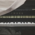 小瑶 - Melody