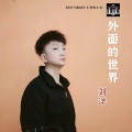 刘洋 - 外面的世界
