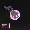 Salty Salt、HertzRecords - 全息電子櫻花