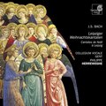 Philippe Herreweghe、Collegium Vocale Gent、dorothee mields - Gelobet seist du, Jesu Christ, BWV 91: Recitativo 