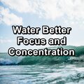 Water Better Focus and Concentration