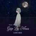 Vicky Nhung - Gặp Lại Nhau (Lofi Mix)