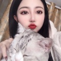 小智慧 - 炸场硬曲