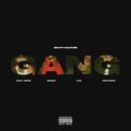 Lua$、SOUTH KULTURE、KENZAID、Sain't Jasper、AceeTheAce - GANG! (Explicit)