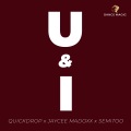 U & I (Radio Edit)