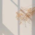 Drogas、YAN CONG XUN - trying to go out