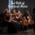 International Free Music、Ma Musique Libre de Droit、Ludwig van Beethoven - Sonata No. 5 Opus 10 Allegro Molto E Con Brio