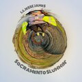 LiL JeSSE JAMeS - SaCRAMeNTo SLuMMiN' (Explicit)