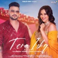 Tera Ishq