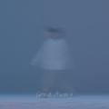 林渝植Anoryz - 你走了