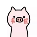 阿娄 - 圣诞结