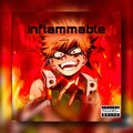 KRL - Inflammable (Explicit)